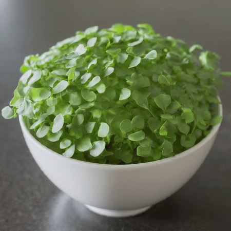 Basil Microgreens