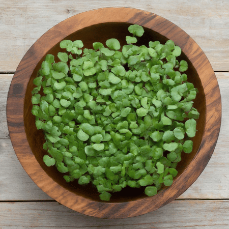Basil Microgreens