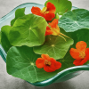 Nasturtium leaves 100 Grams