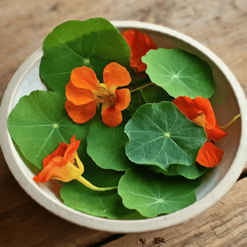 Nasturtium leaves 50 Grams