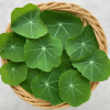 Nasturtium leaves 250 Grams