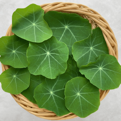 Nasturtium leaves 250 Grams